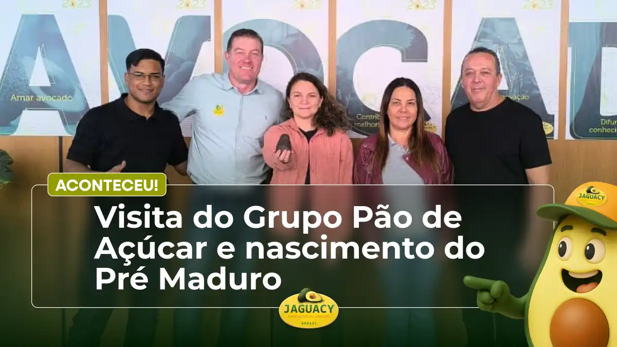 aconteceu_desk